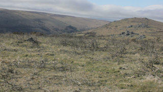 Dartmoor England stock footage