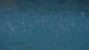 Rain drops stock footage
